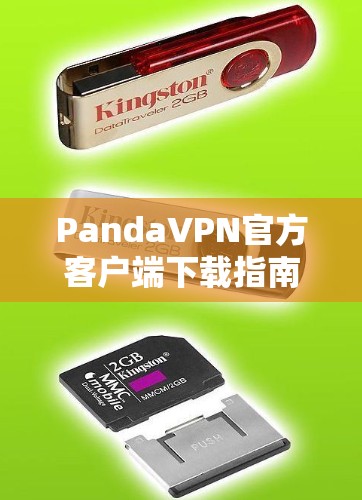 PandaVPN官方客户端下载指南