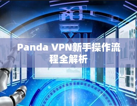 Panda VPN新手操作流程全解析