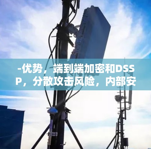 -优势,端到端加密和DSSP,分散攻击风险,内部安全,端到端加密,数据完整性