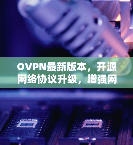 OVPN最新版本,开源网络协议升级,增强网络安全性,提升网络性能