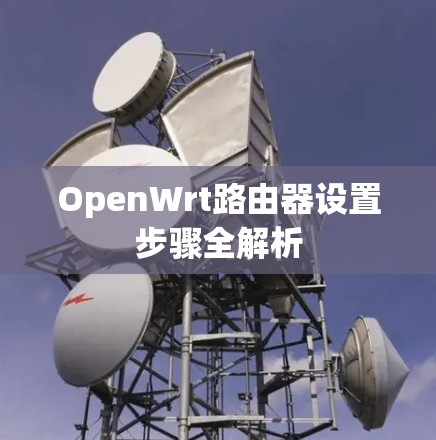 OpenWrt路由器设置步骤全解析