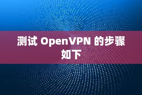 测试 OpenVPN 的步骤如下