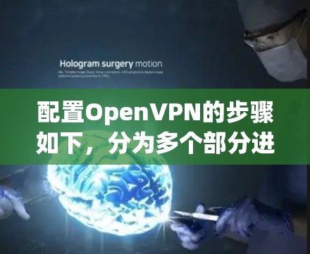 配置OpenVPN的步骤如下,分为多个部分进行说明 配置OpenVPN的步骤如下,分为多个部分进行说明