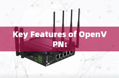 Key Features of OpenVPN: Key Features of OpenVPN:
