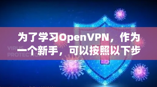 为了学习OpenVPN,作为一个新手,可以按照以下步骤进行 为了学习OpenVPN,作为一个新手,可以按照以下步骤进行
