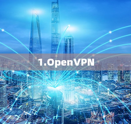 1.OpenVPN