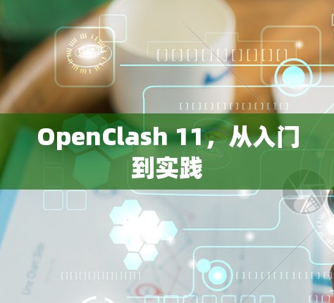 OpenClash 11,从入门到实践 OpenClash 11,从入门到实践