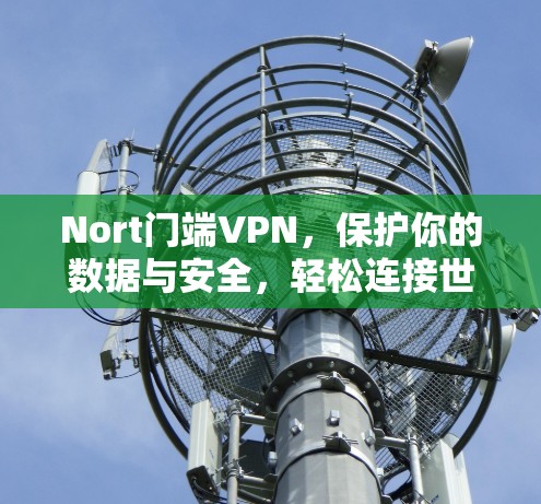 Nort门端VPN，保护你的数据与安全，轻松连接世界