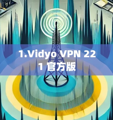 1.Vidyo VPN 221 官方版